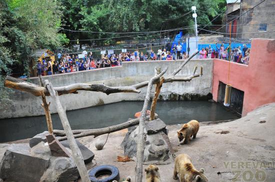 Yerevan Zoo
